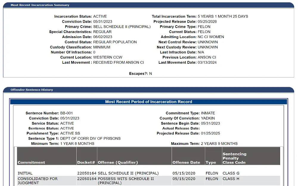 A screenshot of the viewed offender shows the most recent incarceration summary and the offender's sentence history with details such as incarceration status, conviction date, primary crime, special characteristics, admission date and more.